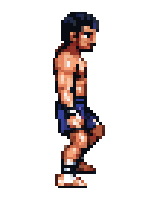 boxer